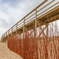 Maderera Ilicitana estructuras de madera