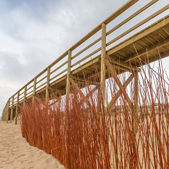 Maderera Ilicitana estructuras de madera