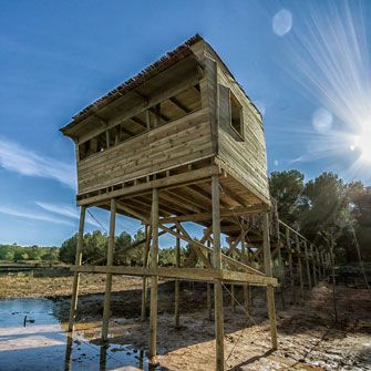 Maderera Ilicitana tematización de espacios